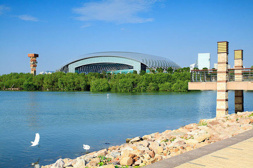 1.深圳湾公园春茧